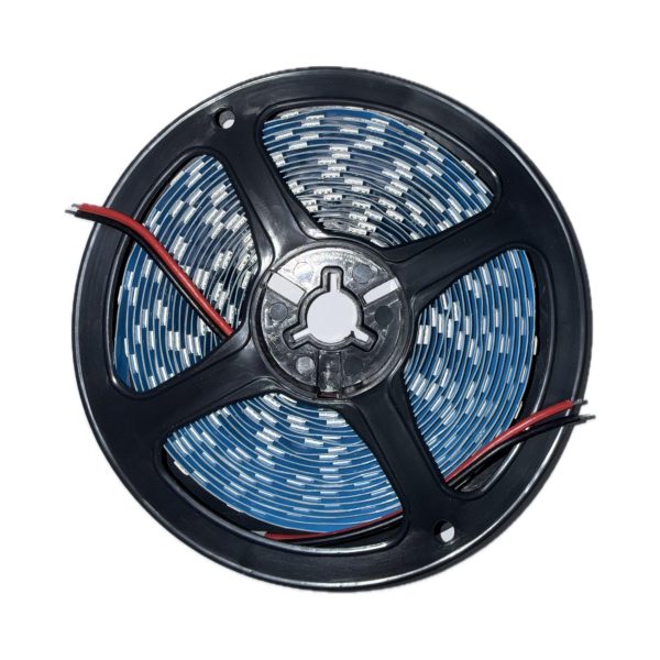 Lamp Belt-8