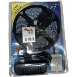 Lamp Belt-19