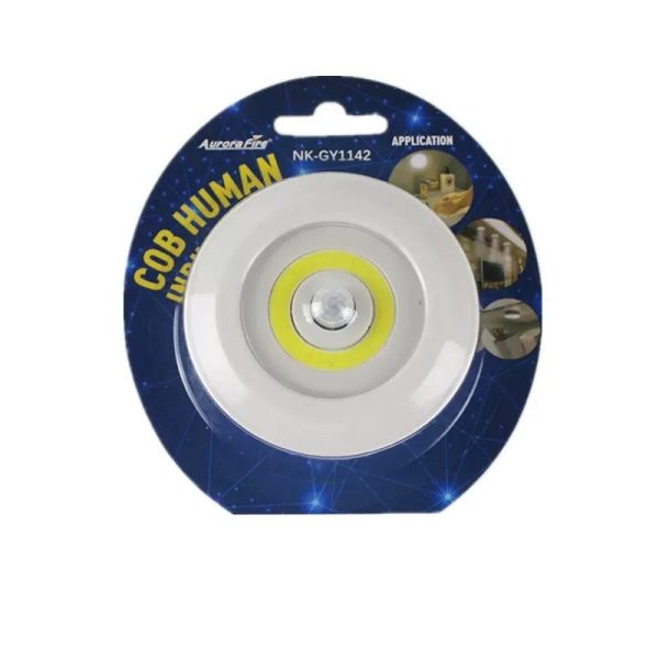 COB Human induction lamp