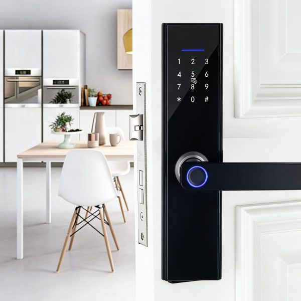 Smart door lock-2